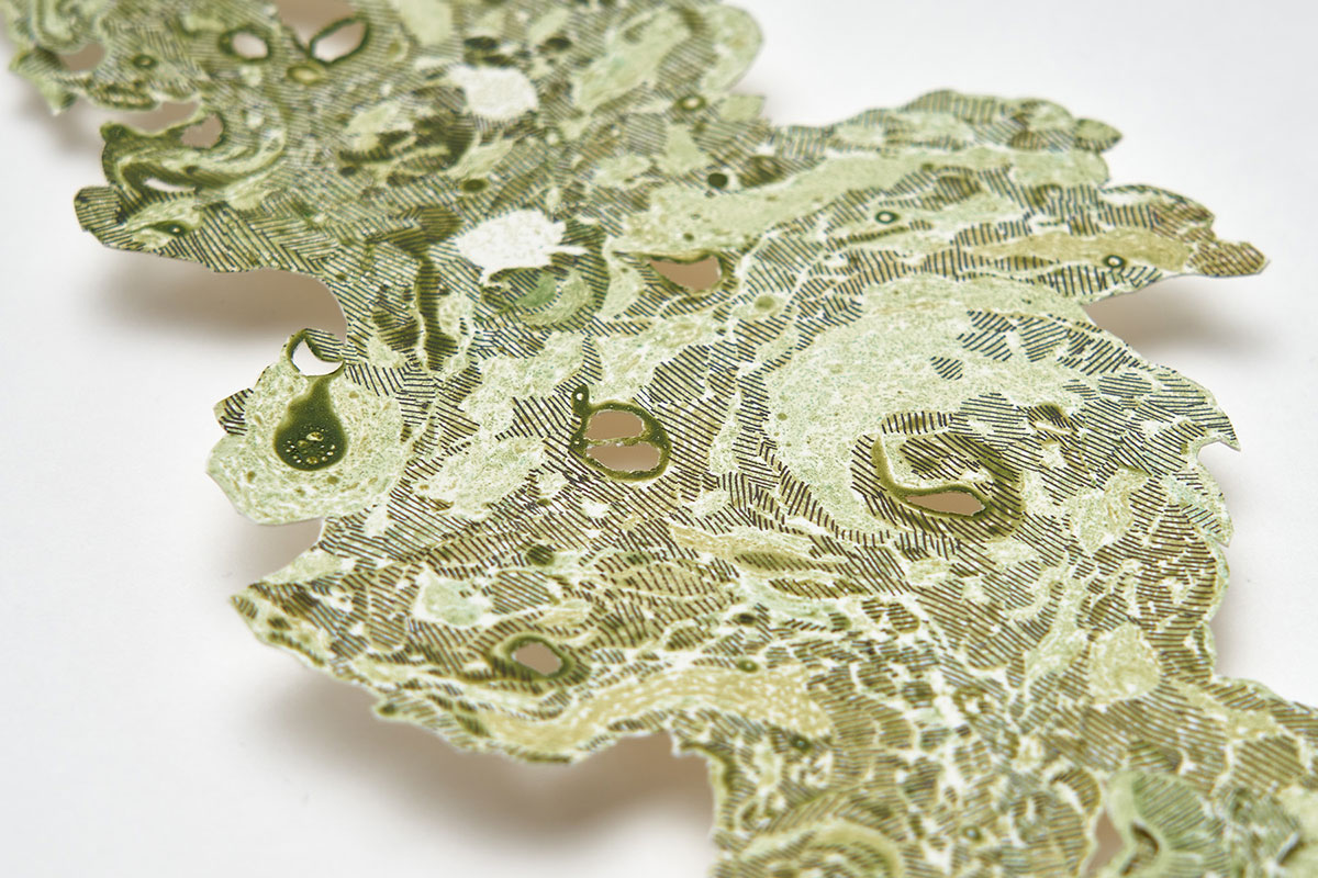 05_Extracts_detail_2022
